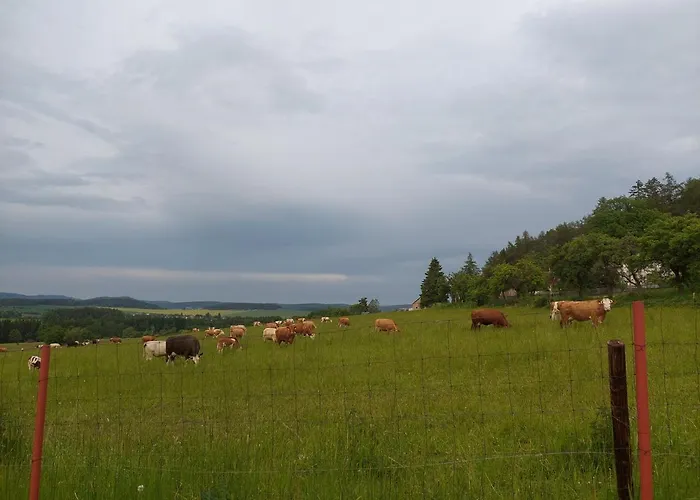 Feriehus Panorama House Brdy *