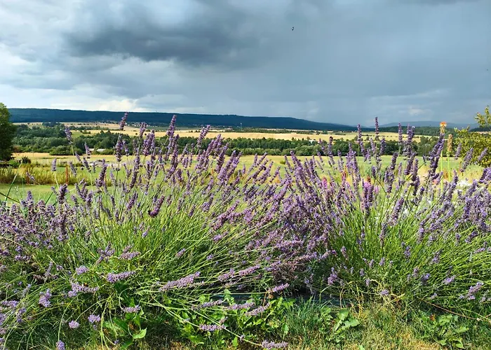 Panorama House Brdy Feriehus Příbram